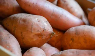 A batata é a nova querida da alimentação saudável. "Nunca deveria ter sido demonizada"