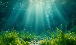 Así es el gigantesco depósito de agua dulce descubierto bajo el Atlántico