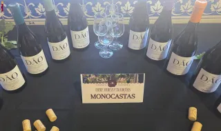 ENTRE VINHAS E TRADIÇÕES: Penalva do Castelo celebrou o vinho, a terra e as suas gentes