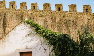 Alentejo no centro da expansão das energias renováveis: 26 municípios alentejanos entram no “Mapa Verde”