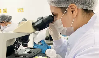 Do inventário à previsão: a ciência quer descobrir o que a biodiversidade fará amanhã