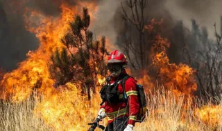 Governo apela à consciência individual para prevenir fogos
