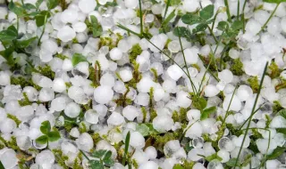Porque caiu granizo tão grande no norte do país? IPMA explica conjugação de fenómenos extremos