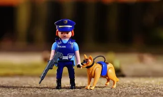GNR recebe dois cães-polícia especializados na deteção de tabaco