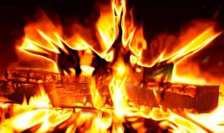Calor antecipou o início das vindimas no Algarve