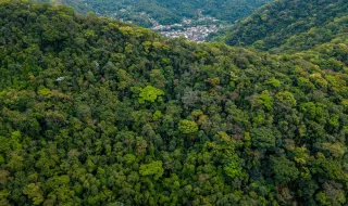Circuncisão em massa mata 43 meninos na África do Sul