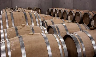 CVRA acusa Estado de falhar controlo do vinho importado: «Em nome de quem e porquê?»