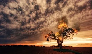Proteção Civil alerta para previsão meteorológica favorável a incêndios rurais