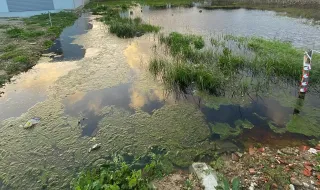 Do sonho ao pesadelo: proprietários de terreno vivem ‘inferno’ na Moita