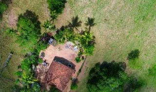 Ciência e desempenho em campo: Projeto Maxx Atleta Dogs