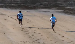 Homens detidos em flagrante por furto de paletes de madeira em estabelecimento na Ericeira