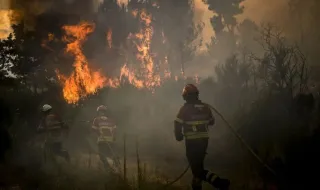 Homem de 42 anos detido por atear florestal fogo em Montalegre