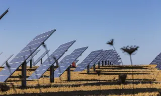 Energia verde 30% mais barata e 98% de fibra: os trunfos de Portugal na corrida à IA para a McKinsey