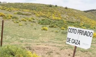 Detenido un hombre tras disparar contra dos cazadores en un coto de Torreblanca