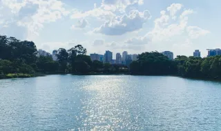 Sol volta a brilhar este domingo e temperaturas sobem
