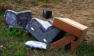 Sintra aplica 167 multas e lança campanha contra o abandono de monos na rua
