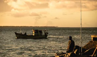 Direção-Geral faz perguntas aos pescadores lúdicos
