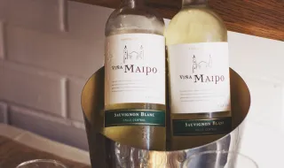 MARO INTERPRETA “SAUVIGNON BLANC” PARA CELEBRAR OS 5 ANOS DOS SPOTIFY SINGLES. É A 1ª 55ARTISTA PORTUGUESA A FAZER PARTE DESTA INICIATIVA