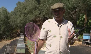 José vai todos os dias ao Parque da Bela Vista cuidar de 30 colmeias (e aproveita para ver alguns concertos)