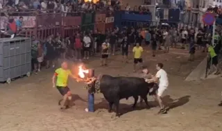Pelea a puñetazos entre raberos por sacar a uno de los 'bous embolats' en l'Alcora