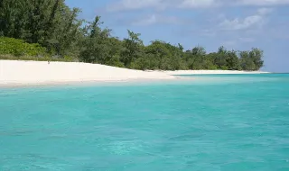 Primeiro-ministro de Timor apela a ações concretas na saúde