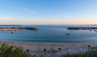 Sines na Rota das Espécies Invasoras: Investigadores pedem mais vigilância