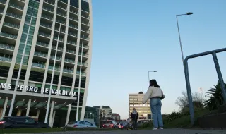 Reabertura das buscas por Pedro Paiva é pedida em petição pública