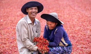Aumento dos combustíveis. Agricultores consideram apoios insuficientes