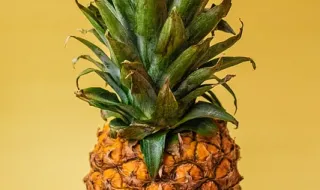 Produtores de fruta e hortícolas têm mais 15 dias para entregar programas operacionais