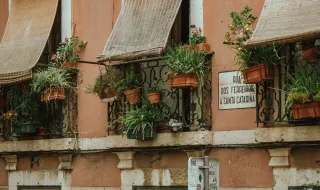 Largo de Santa Catarina acolhe Mosstra Gastronómica