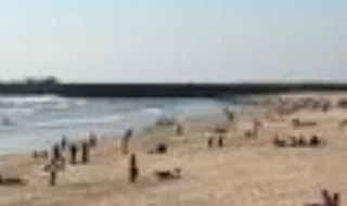 Água de três praias de Matosinhos própria para banhos após contaminação biológica