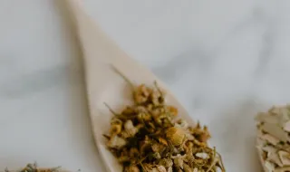 Tem formigas em casa? Este ingrediente natural que muitos têm na cozinha pode ajudar a acabar com a ‘praga’ sem recorrer a químicos