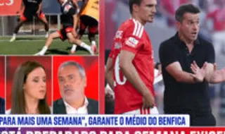 Sérgio Krithinas: «A forma como Palhinha joga torna inevitável que vá ver muitos cartões amarelos»