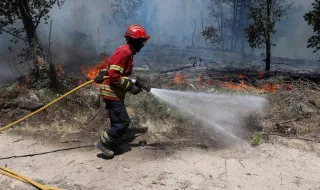 Está dominado o incêndio em Penacova