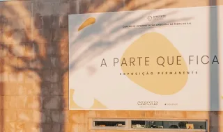 As histórias que a ópera canta