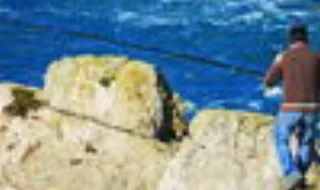 Medidas para combater excesso de pesca de cavala pela Rússia entram em vigor