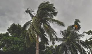 Invasão de ar subtropical chega a Portugal. Já sabe o que lhe espera?
