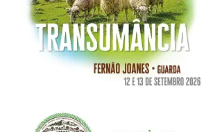 GUARDA: Fernão Joanes recebe iniciativa gastronómica dedicada ao Borrego da Serra da Estrela