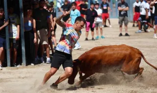 Fotogaleria I Concurs de Ramaderies de la Mare de Déu de Gràcia de Vila-real