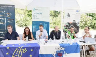 PENAMACOR: “Peixes Invasores na Albufeira do Meimão” debateu gestão das espécies invasoras