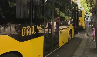 Viseu torna transportes públicos gratuitos e procura aumenta quatro vezes