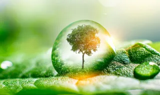 Espanha cria programa para investigar desinformação climática