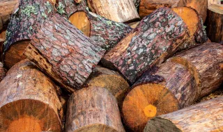 Sátão recebe exposição de Cátia Rochinha com peças que contam histórias