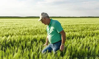 Podia receber 320 milhões, mas escolheu não vender: agricultor enfrenta projeto imobiliário