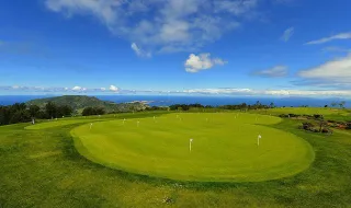 Quercus critica "aposta irracional" no golfe perante risco de crise alimentar