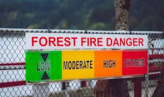 Proteção Civil alerta para risco de incêndios rurais