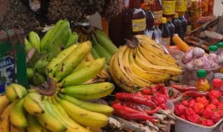 FEIRA ANUAL DE CUBA REGRESSA COM ANTÓNIO CAIXEIRO, CHICO DA TINA, UHF E TITO PARIS COMO CABEÇAS DE CARTAZ