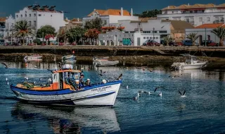 Tribunal de Tavira ordena encerramento imediato da pedreira em Cerro do Meio