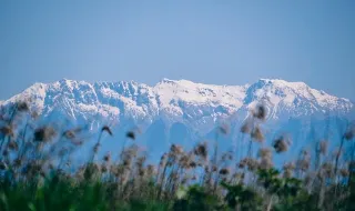 “O Caramulo é uma marca indiscutível e a âncora do turismo no concelho”
