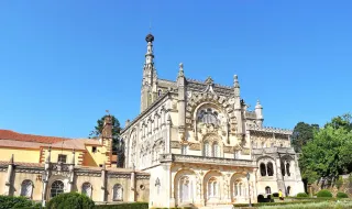 Mata do Bussaco regista melhor mês de sempre em 17 anos